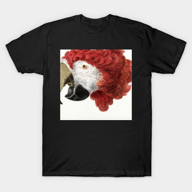 wild animals T-Shirt by GSDESIGNN